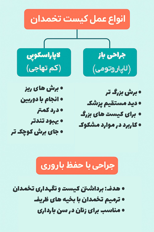 عمل کیست تخدمان به صورت اینفوگرافیک